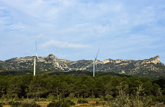 Tecnología en la naturaleza