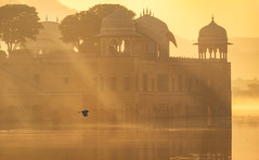 Jal Mahal at sunrise