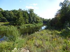 Naperville, IL, McDowell Grove Forest Preserve, West Branch of the DuPage River