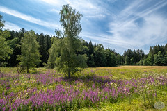 Wegscheid, Bavaria (explored)