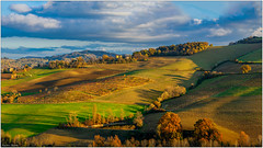 Colline Bolognesi