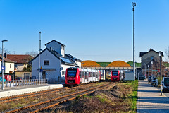 DB Regio_622 042-9/542-8_Bürstadt 09.01.2024 [RB 63 Bensheim - Worms Hbf]