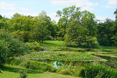 Les étangs (Jardin botanique de Berlin)