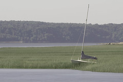 Voilier échoué dans les herbes