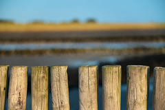 Layered landscape behind fence