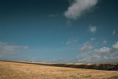 Views from Sompting Abbots