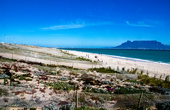 Spring Day Viewing Table Mountain