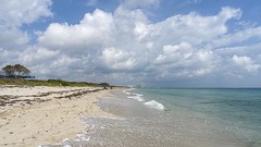 Walking on Florida's Beach's