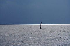 Lake Naivasha, Kenya