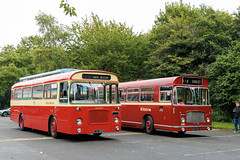 Neighbouring REs: North Western 299A and Ribble 338, Leyland, August 2024