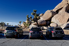 It’s a Subaru Commercial! (Joshua Tree National Park)