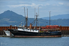 M/V MOLLY ANN, FISHING VESSEL c. 1980 - Port of Astoria (EXPLORED-Thank you)