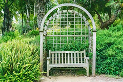 Bench - San Diego Botanic Garden (EXPLORE)