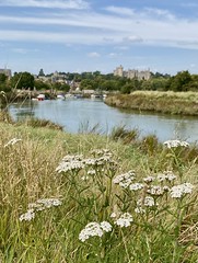 Late summer at Arundel Castle