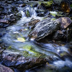 Garden Creek babbling