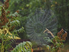 Garden art