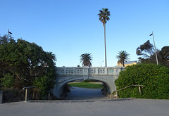 Palm on a Bridge