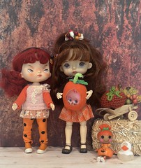 Cute pumpkins....