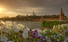 Russia. Moscow. Evening, flowers, Kremlin.