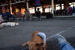 Sawyer Fredericks Woofstock, Caroga Lake,NY 9-14-2024  390