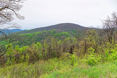 Loft Mountain from a Nearby Overlook in Shenandoah National Park