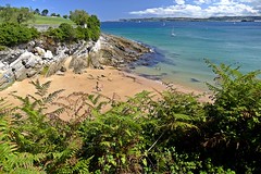 Playa de los Molinucos (Cantabria)