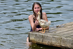 The Girl and the  Goose