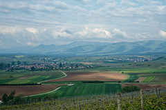 Alsace landscape