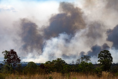 Imagens de Brasília - Queimadas