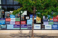 Yard signs at the Minneapolis DFL office