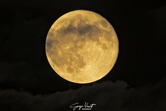 2024 September Super moon