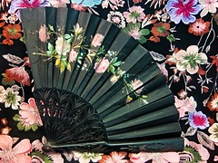 A Fragile Floral Fan