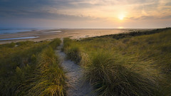 Maasvlakte