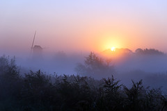 Foggy sunrise Kardinge Groningen Netherlands