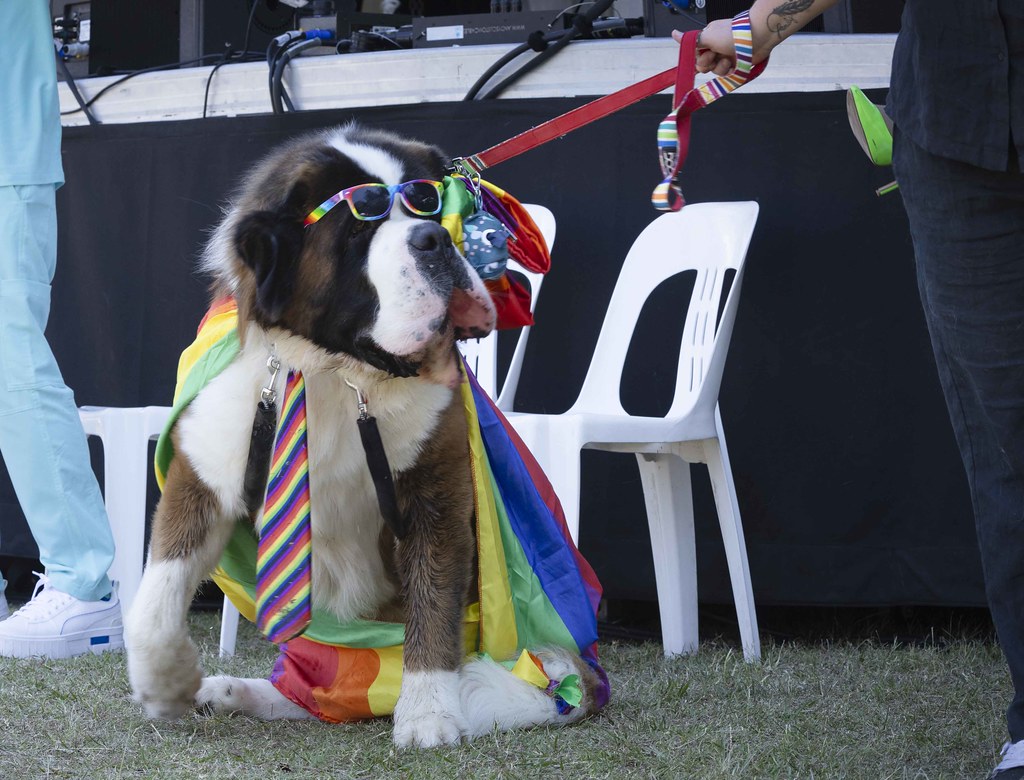 Bris Pride SO 2024 (16)