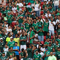 Campeonato Brasileiro: Vasco da Gama x Palmeiras (22/09/2024)