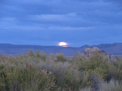 mono lake