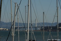 Pier 39 - SF Fisherman's Wharf - 092324 - 18 - View of San Francisco-Oakland Bay Bridge Eastern Span