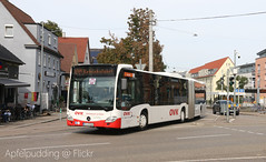 Bunte Buswelt - Stuttgart