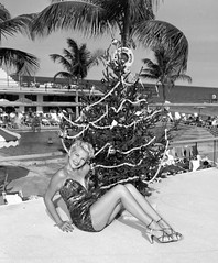 1950s Miami Christmas Beauty at Monte Carlo Hotel