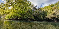 River Avon at Millbrook Reserve