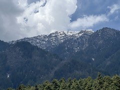 Beautiful Alpine scenery in Pahalgam, Kashmir