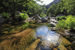 Corsica / Corse - Gorges de Spelunca