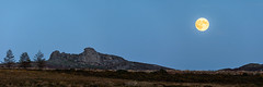 Harvest Tor