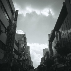 モノクロ 白黒写真 モノクロ写真 monochrome 柏