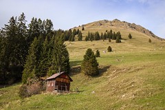 La Cabane Isolée au Printemps III