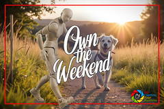 WCYB-OwnTheWeekendWithADogWalk