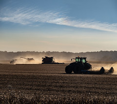 soy harvest in SE Ontario