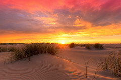 Sunset in the dunes of Texel