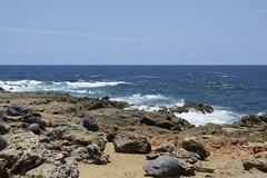 Andicuri Bay, Aruba 300424_DSC6593